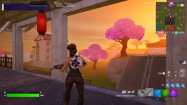 Capture 1 – Zen's BR Chapter 1 Season 3 (Solos)