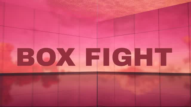 tevse BOX FIGHT