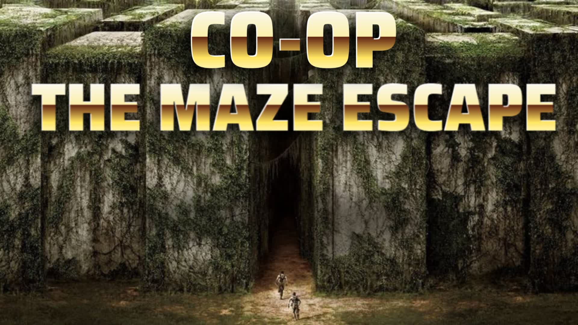 THE MAZE ESCAPE CO-OP