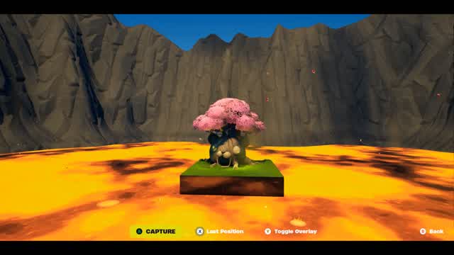 Team Fight / Collect and Win