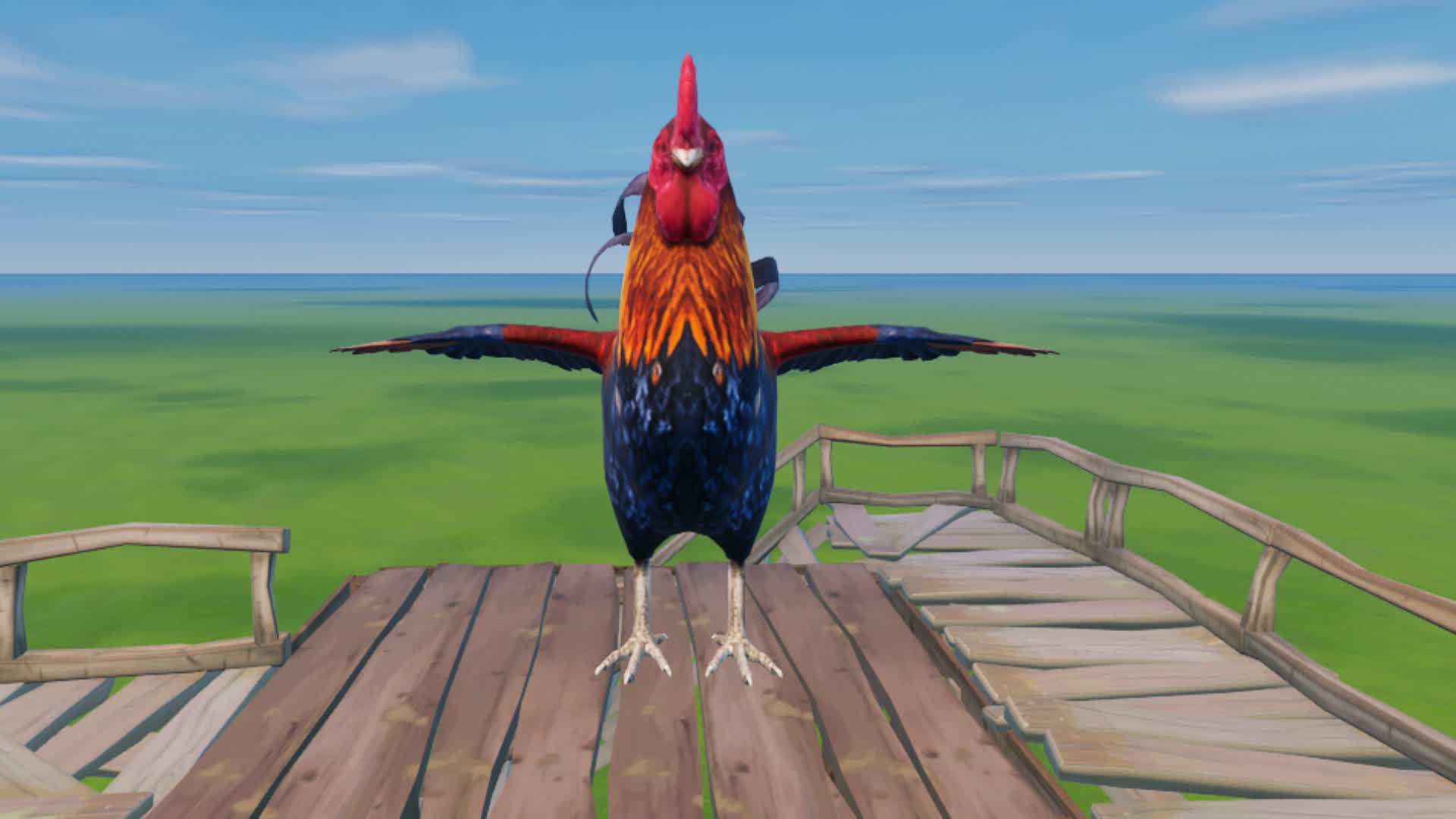 MEET NICE ROOSTER