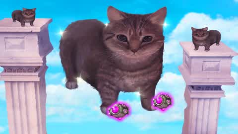 O ii A CAT PILLARS🐈‍⬛