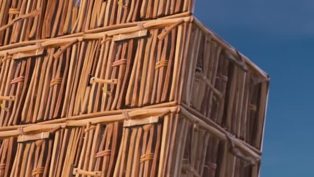 Aim, Edit & Build