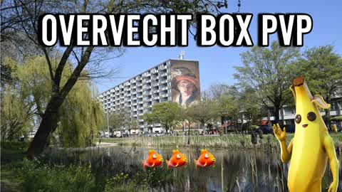 OVERVECHT BOX PVP DUTCH NL NETHERLANDS