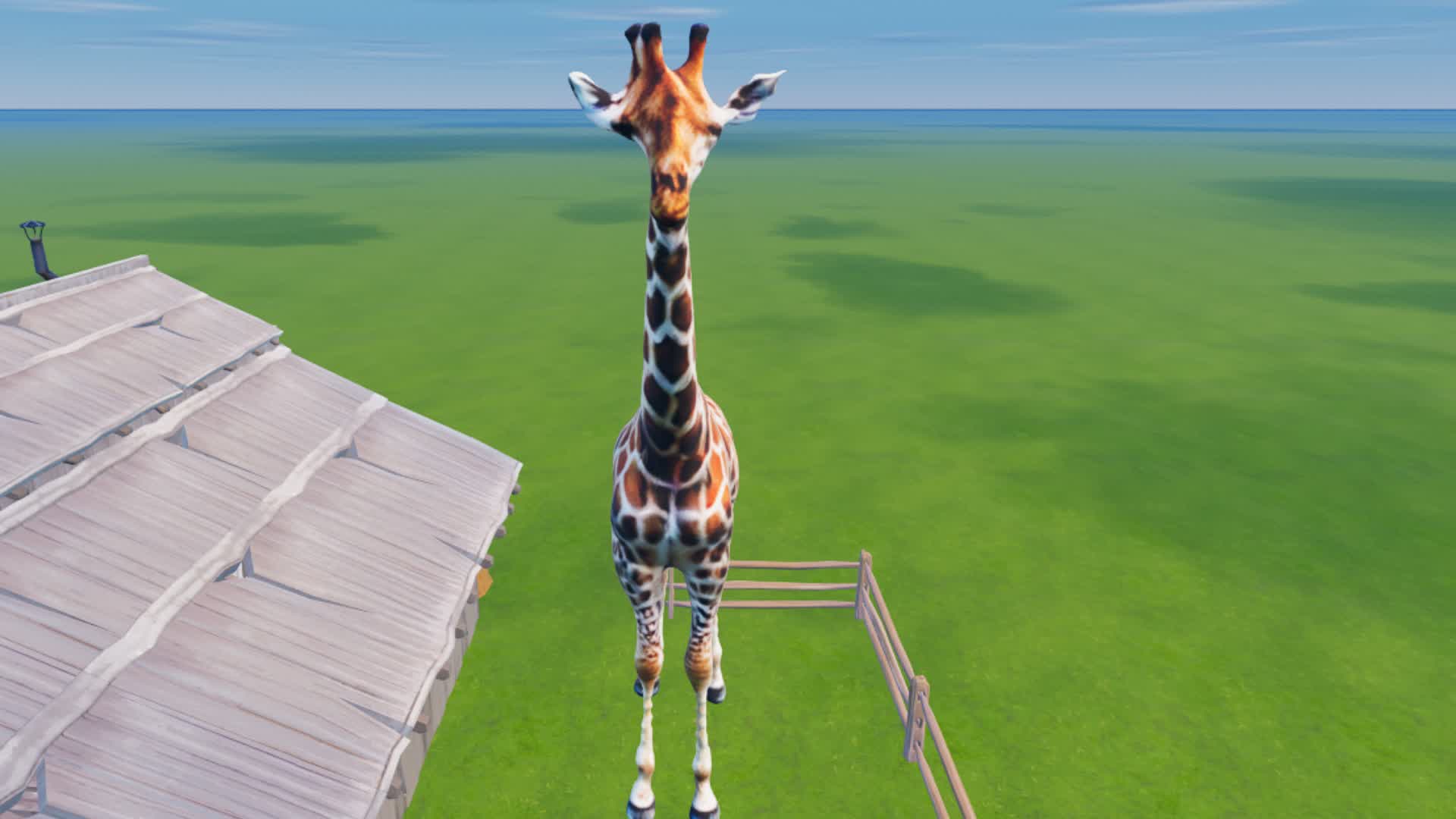 MEET NICE GIRAFFE