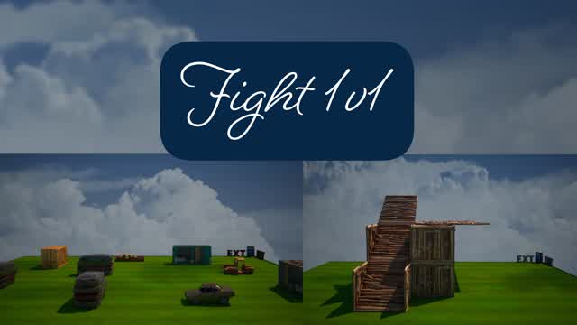 Fight 1v1