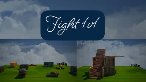 Fight 1v1