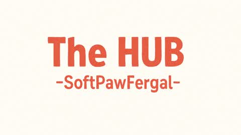 THE HUB