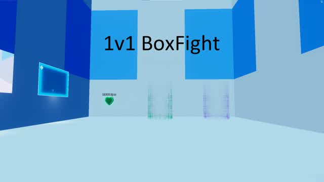 1V1 BOX FIGHT