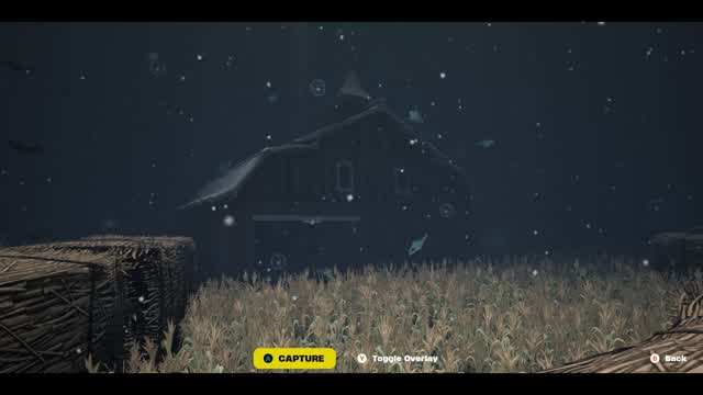 Hunters vs Runners / Horror