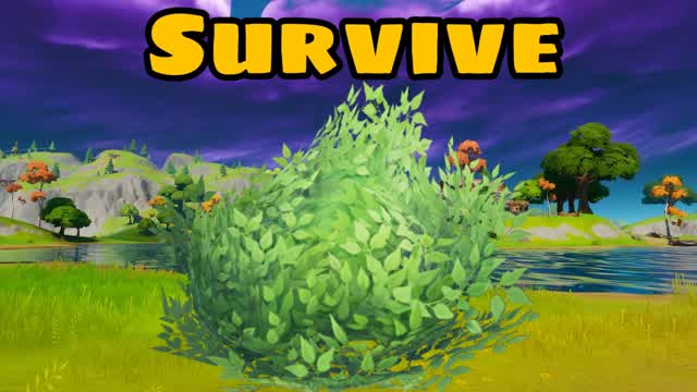 bush survival🙀