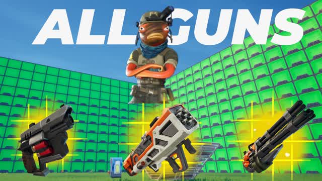 1v1 CHAOS ALL WEAPONS