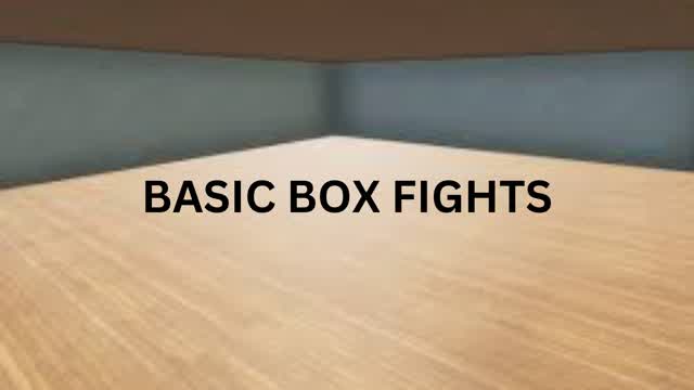 BASIC BOX FIGHTS
