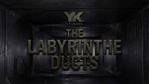 THE LABYRINTH DUCTS