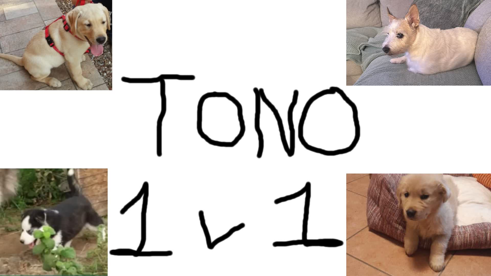 1v1 Tono