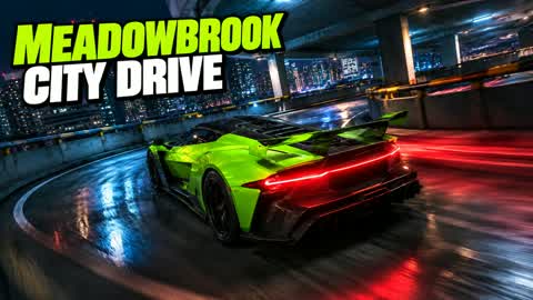 🚗 MEADOWBROOK DRIVE 🚗