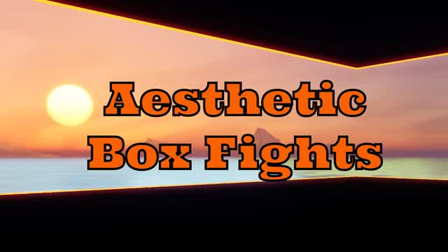 Aesthetic Box Fights