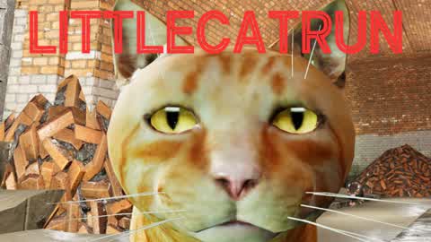 LittleCatRun