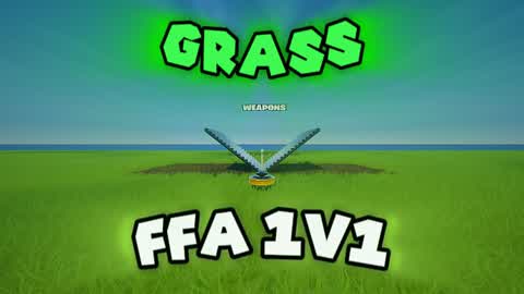 1 v 1 FFA GRASS