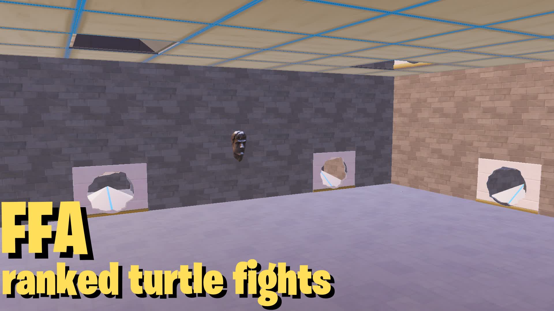 Ranked Turtle Fights FFA