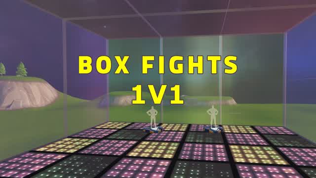 BoxFight 1v1