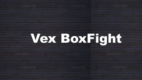 VEXORA Box Fight