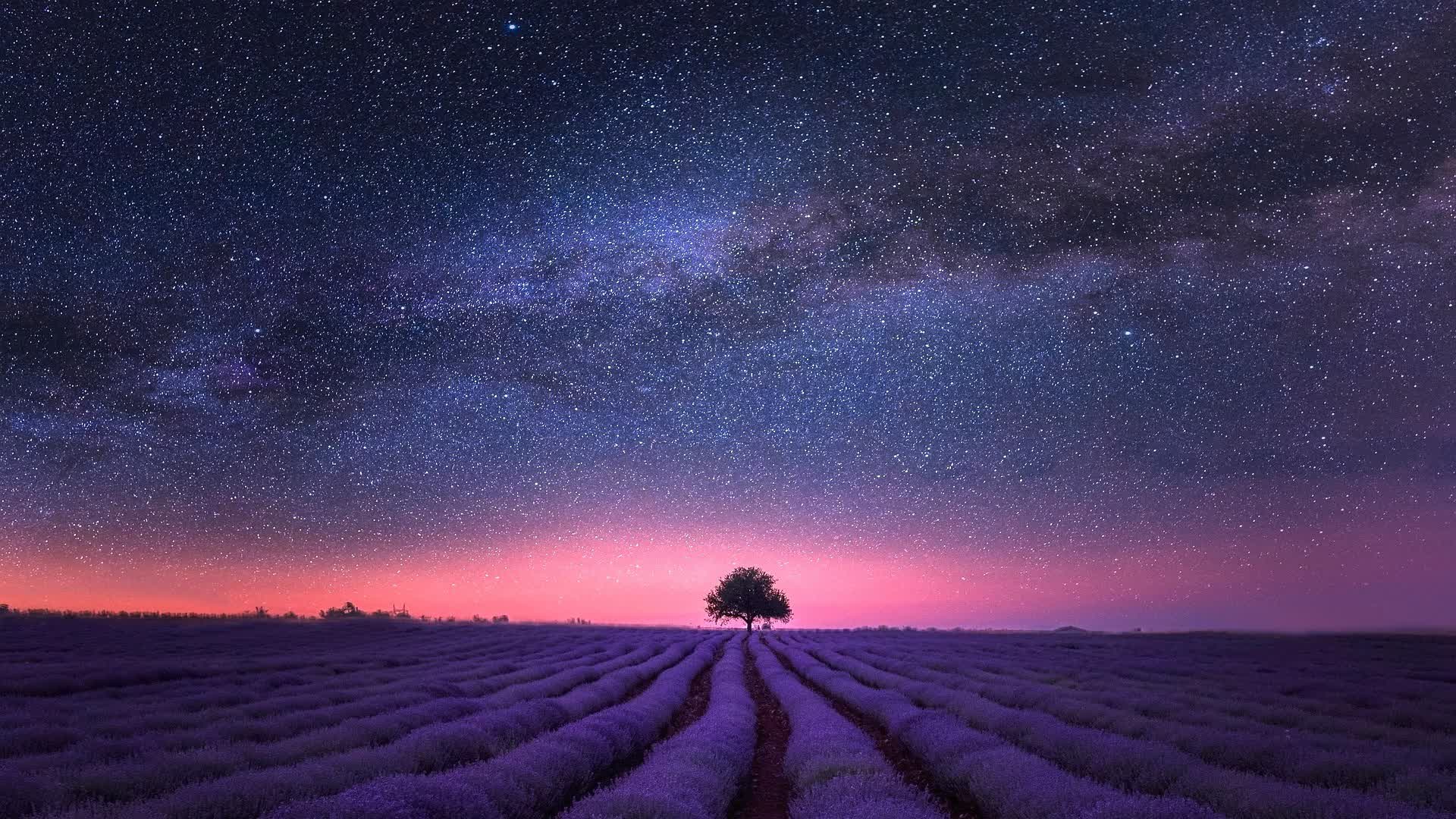 |CFC| 1v1 FFA TDM 近接戦闘