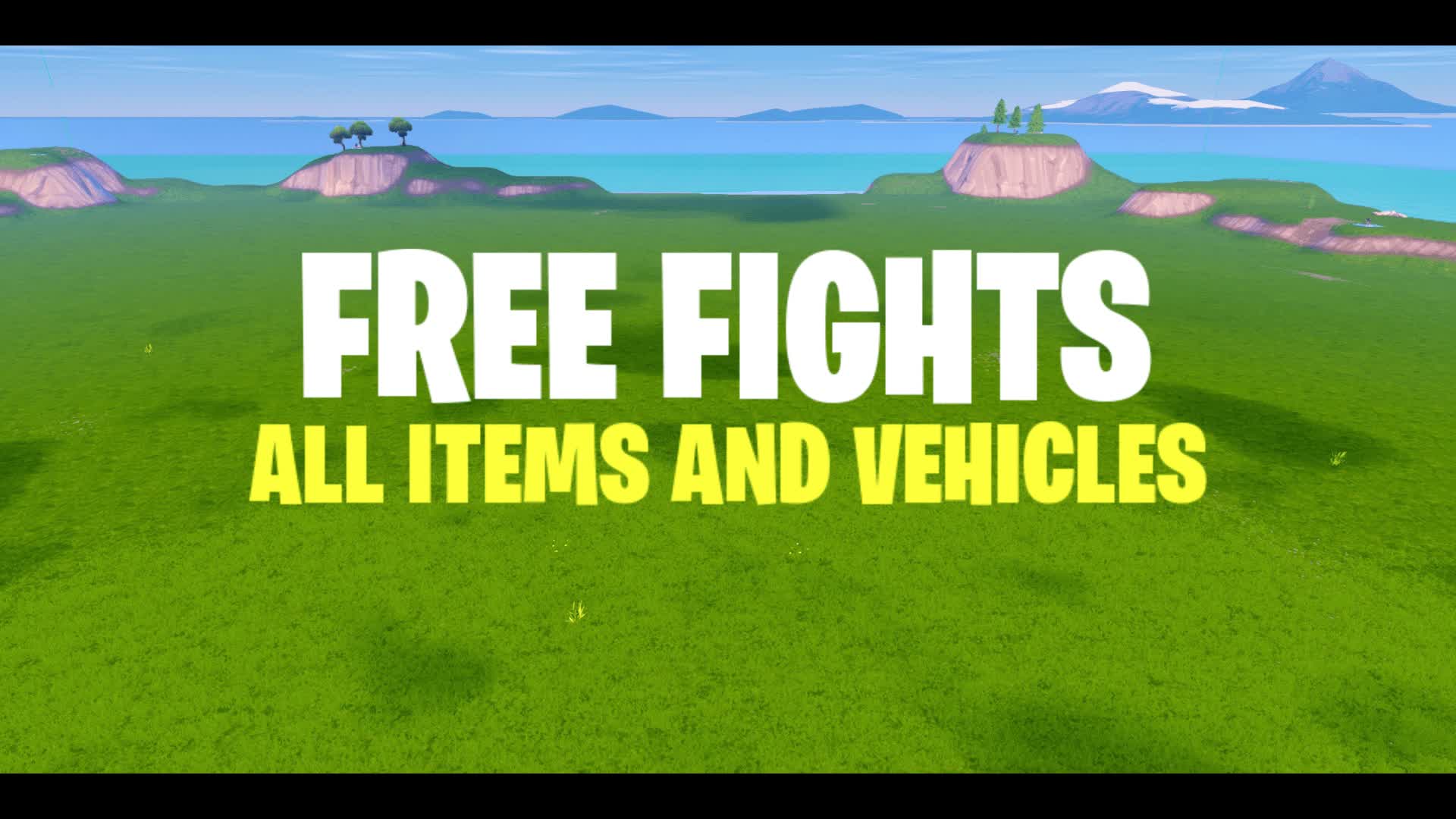 FREE FIGHTS