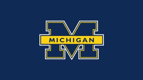 Michigan Wolverines
