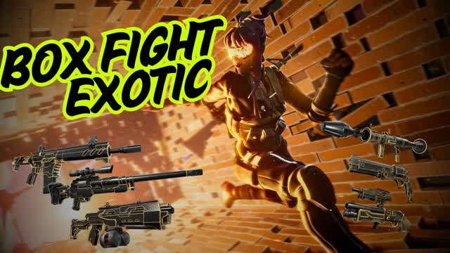 BOX FIGHT EX﻿OTIC