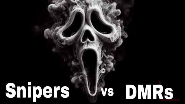 Snipers vs DMRs