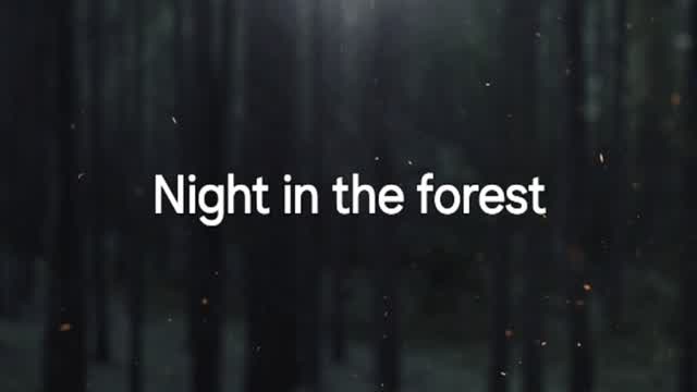 Night In The Forest | Survival Game