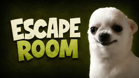 đ° PANIC ESCAPE ROOM