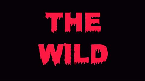 THE WILD RPG/TVT