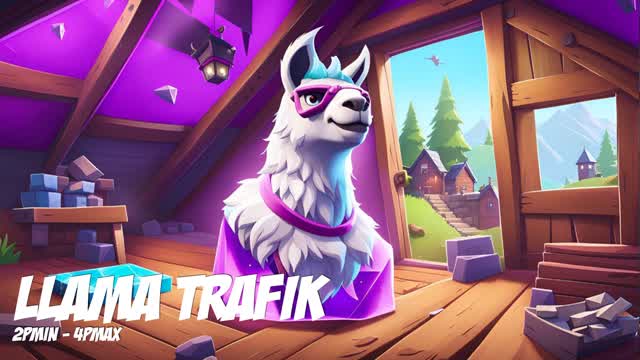 Capture 1 – LLAMA TRAFIK