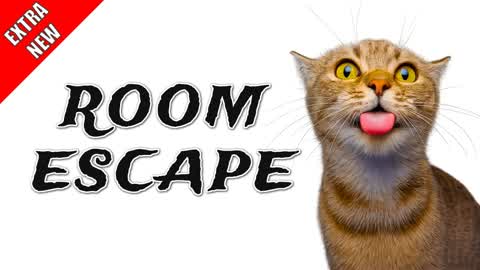 Interest Escape Room Top IQ | BY GT
