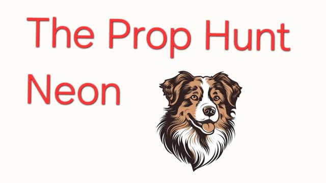 ThePropHuntNeon