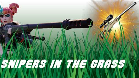 Snipers in the grass