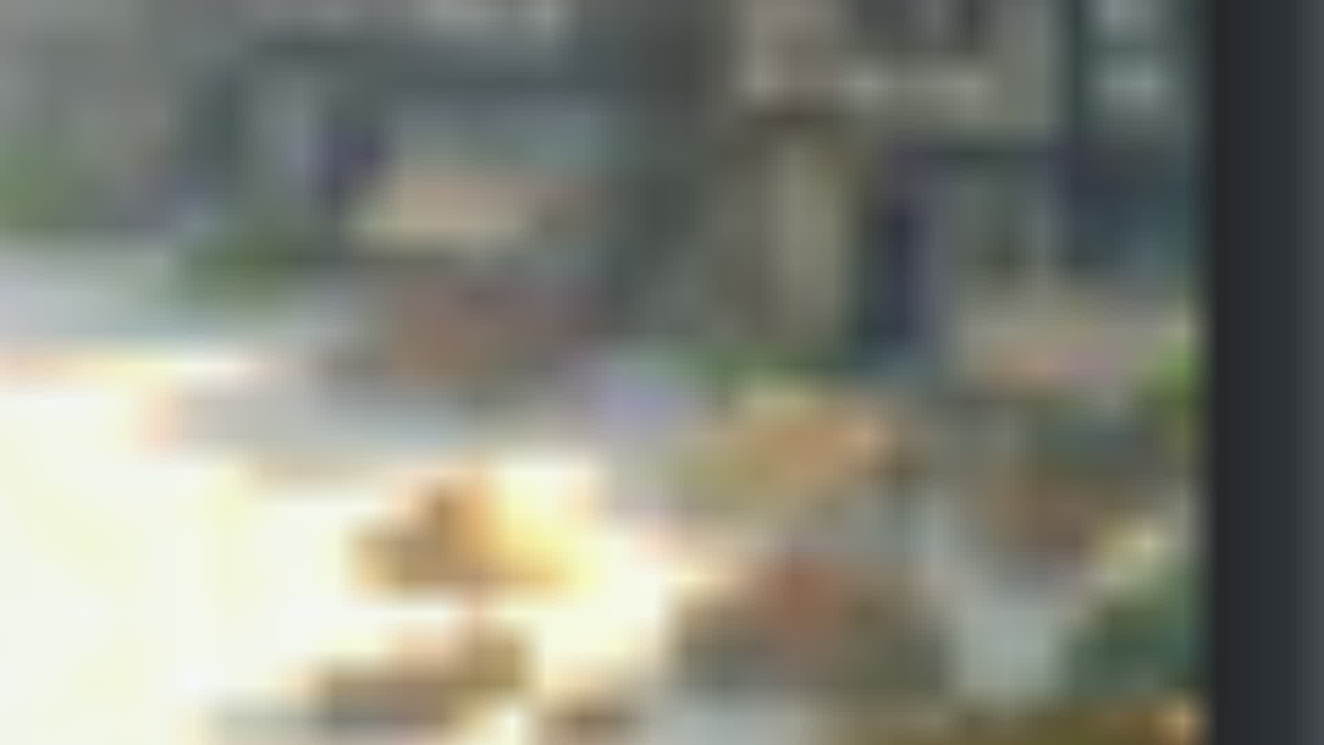 2921-4120-0409