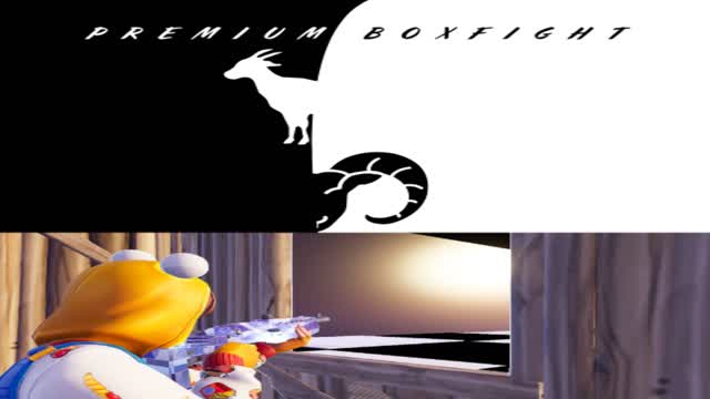 PREMIUM BOX FIGHT