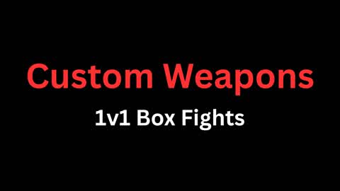 1v1 Box Fights