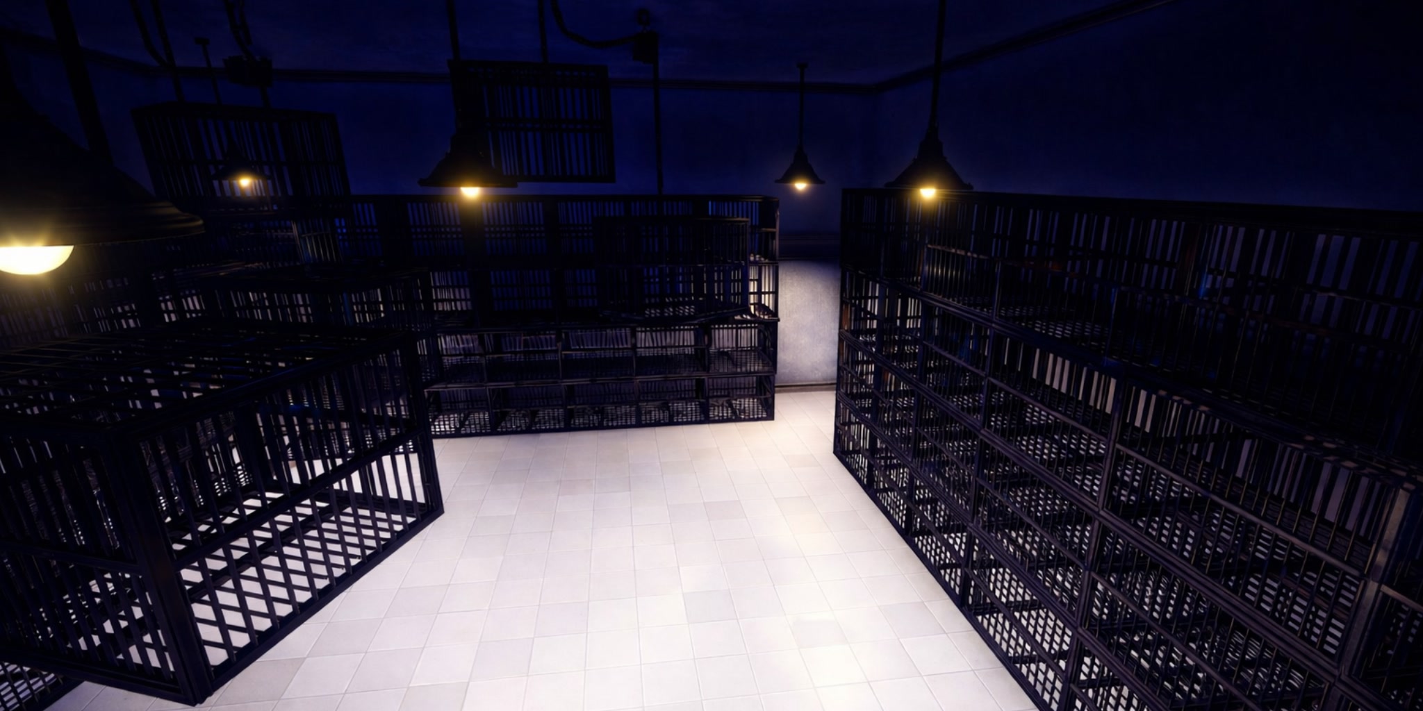 Insane Asylum Escape (Horror)
