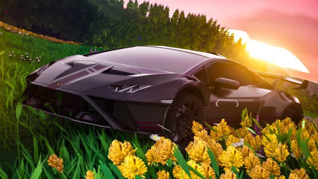 The Road Paradise FFA