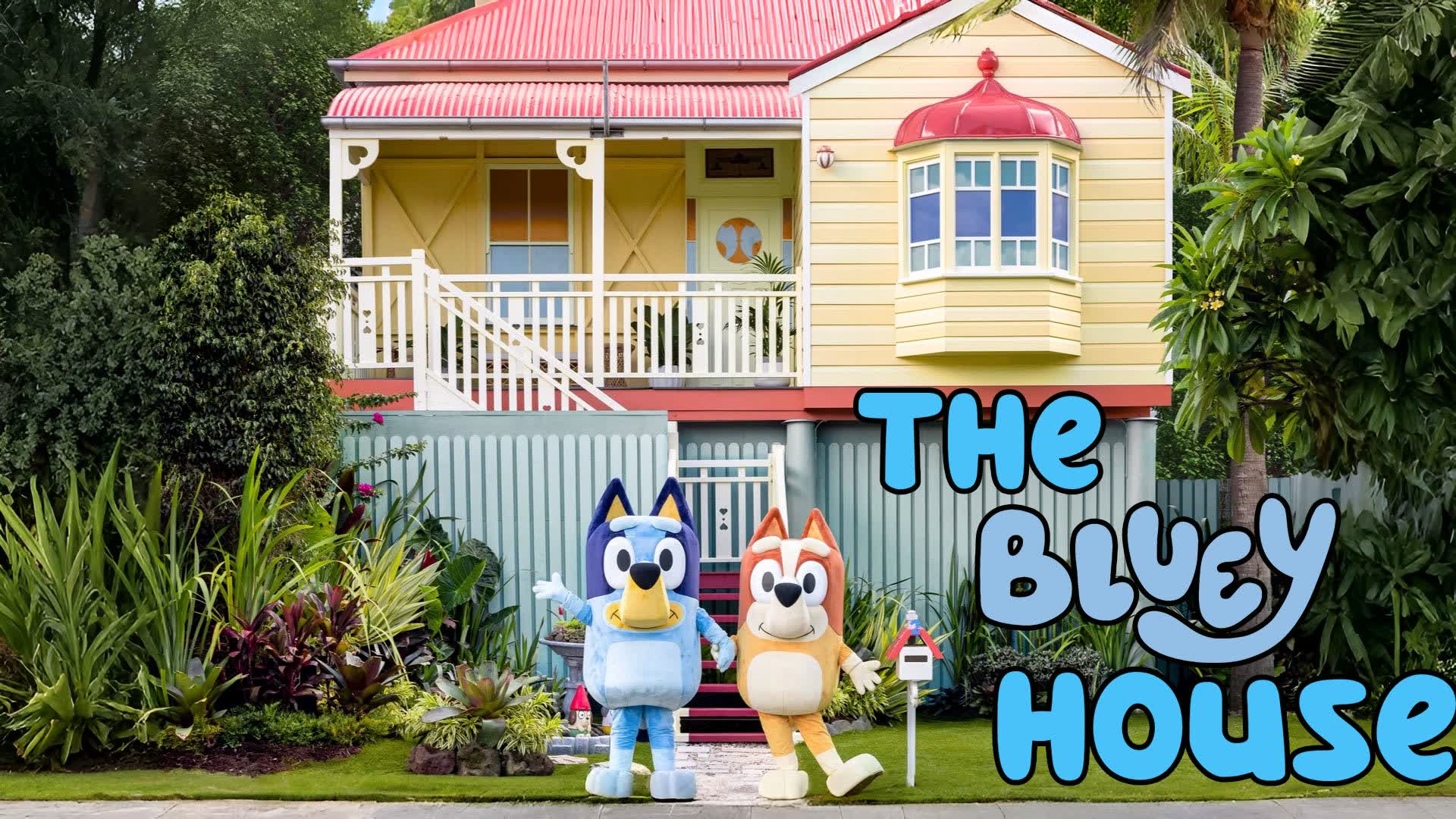 THE BLUEY HOUSE 🔵🐶