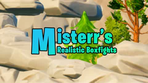 Misterr's Realistic Box Fights