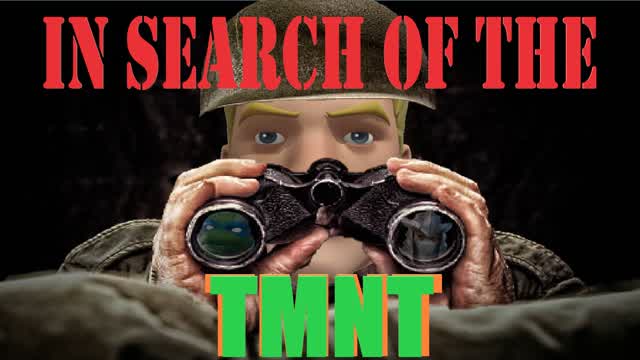 In search of the TMNT