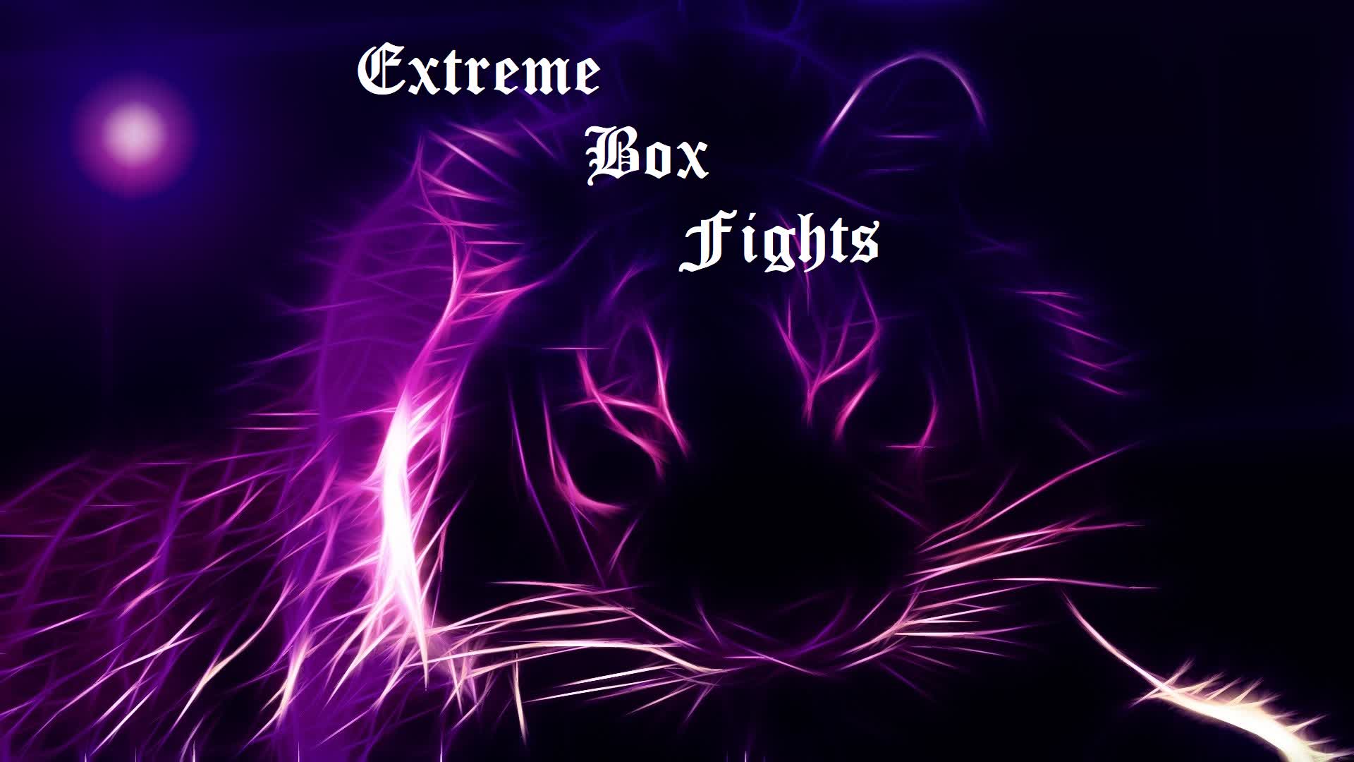 Extreme Box Fights;)