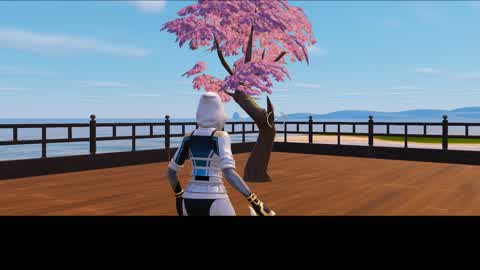 qwisco Turtle fights