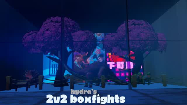 Capture 1 – 2v2 boxfights