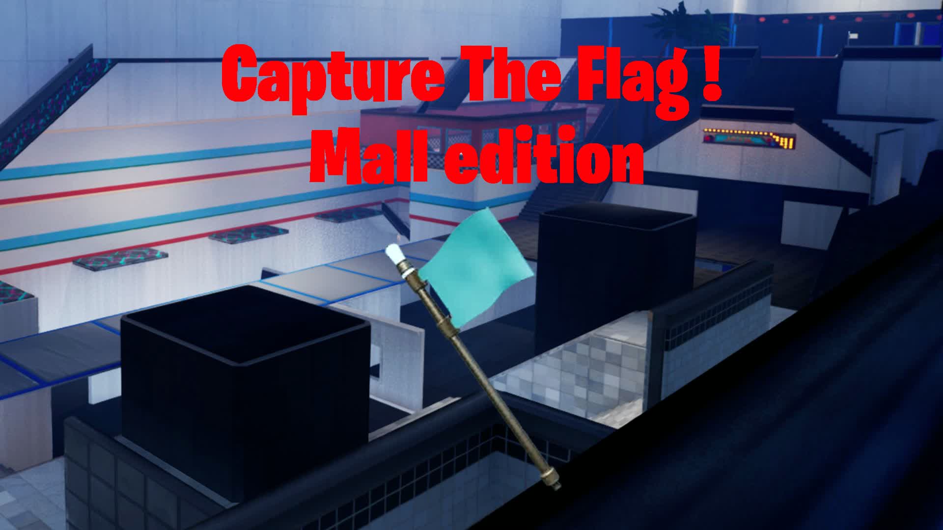 Capture the flag! モールエディション